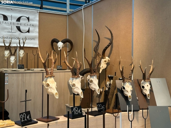 Galería | Almazán da el pistoletazo de salida a la Feria de Caza de Venalmazán