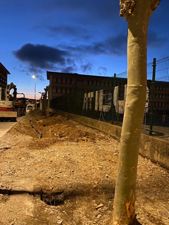 El PSOE de Ólvega lamenta el arranque de plataneros en la Avenida del Deporte