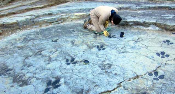 Adjudicados los trabajos de mantenimiento de los yacimientos de Tiermes y de Uxama, de la Ruta de las Icnitas y de cinco zonas arqueológicas visitables de la provincia 