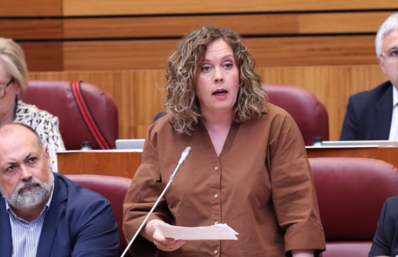 El PSOE exige a la Junta medidas para atajar la crisis de Siemens Gamesa