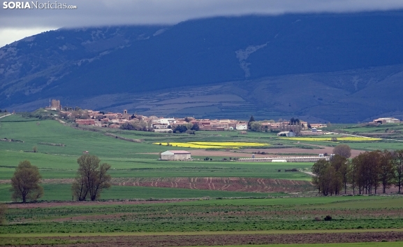 Los cuatro Grupos de Acción Local de Soria contarán con una dotación inicial de 8,9 M€ para proyectos en el medio rural hasta 2027