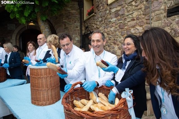 Programa completo de las fiestas en honor a la Virgen de Olmacedo de Ólvega 2025