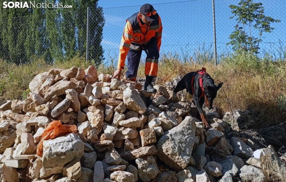 La búsqueda del jubilado desaparecido en Langa se amplía hasta Guma (Burgos)