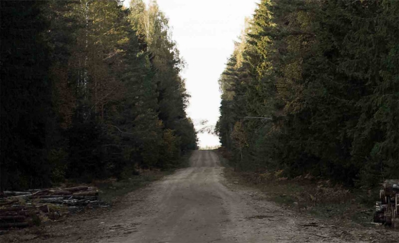 La Junta adjudica en 163 mil euros el arreglo de una pista forestal en Covaleda