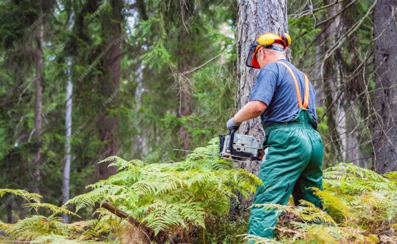  Todos los detalles de la nueva convocatoria de empleo público de la Junta: casi 400 plazas en juego