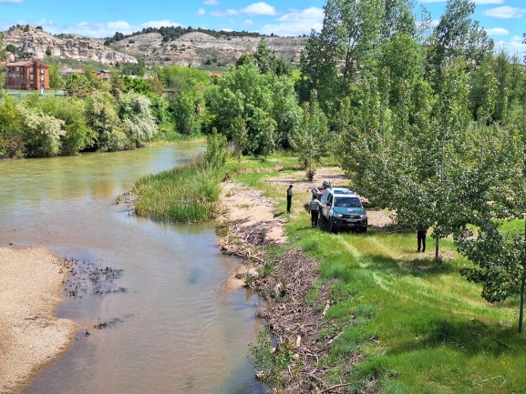 Búsqueda del jubilado desaparecido en Langa de Duero. 