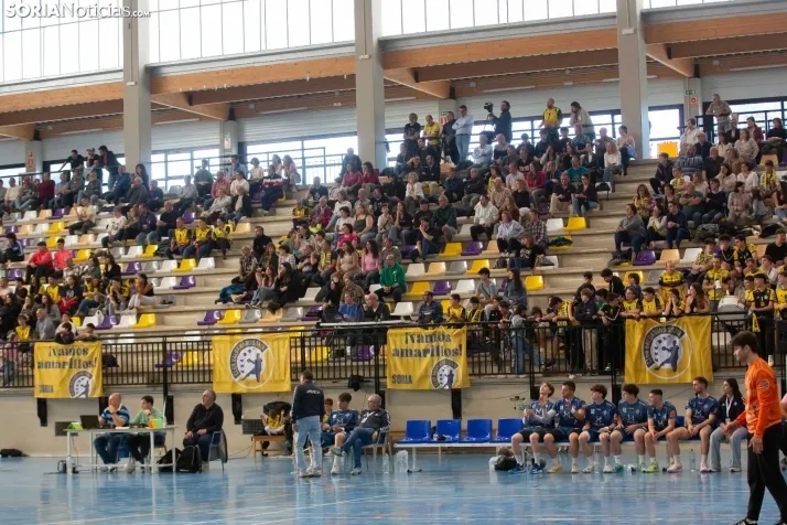 BM Soria: Título en División Plata