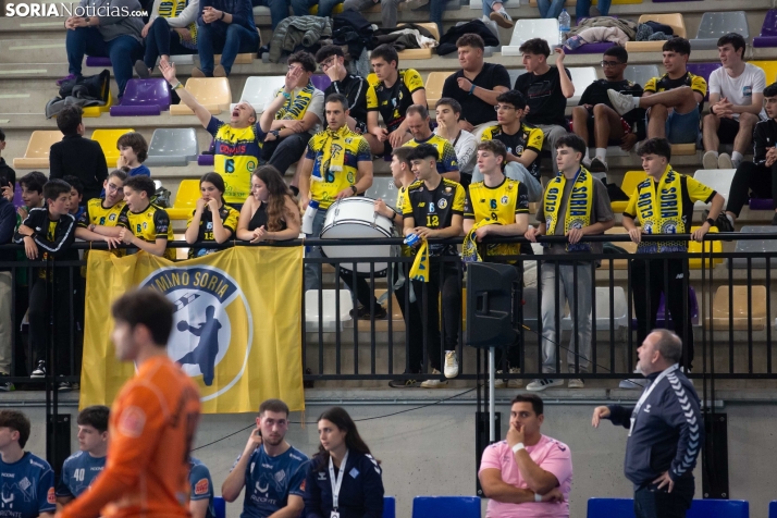 BM Soria: Título en División Plata