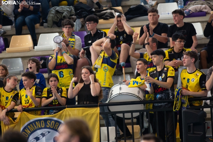 BM Soria: Título en División Plata