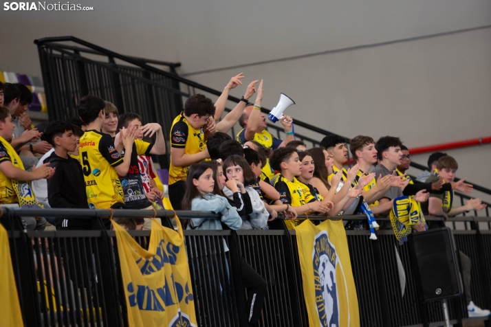 BM Soria: Título en División Plata