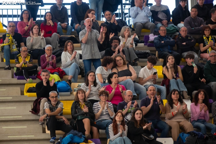 BM Soria: Título en División Plata