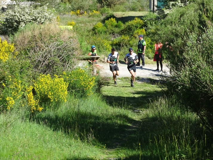 Una imagen de esta mañana en el Moncayo agredeño. /PC