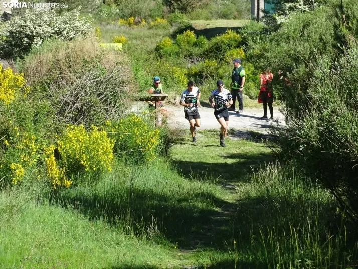 Una imagen de esta mañana en el Moncayo agredeño. /PC