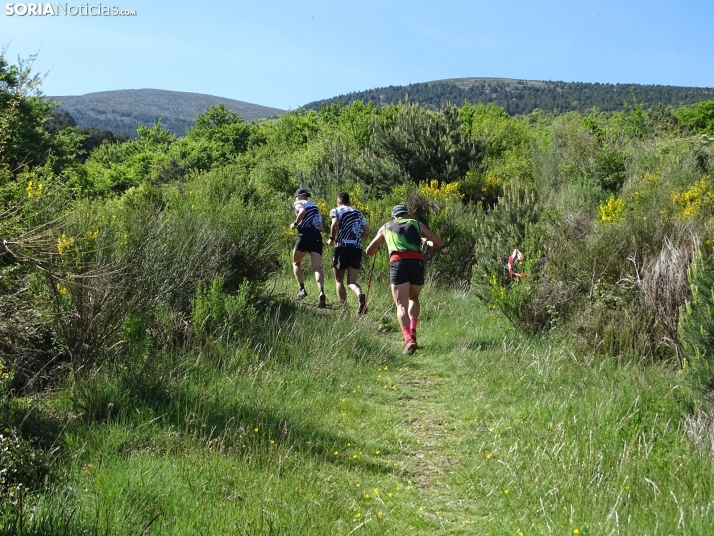 Una imagen de esta mañana en el Moncayo agredeño. /PC