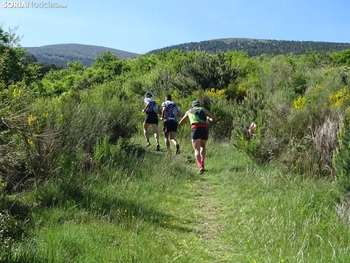Una imagen de esta mañana en el Moncayo agredeño. /PC