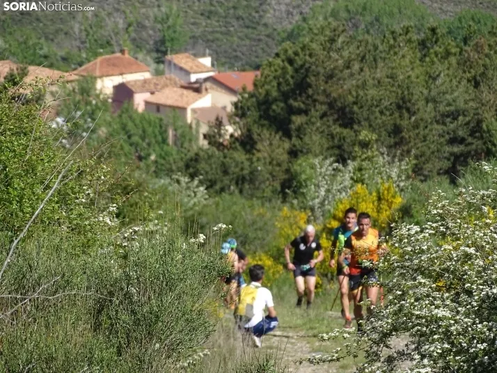 Una imagen de esta mañana en el Moncayo agredeño. /PC
