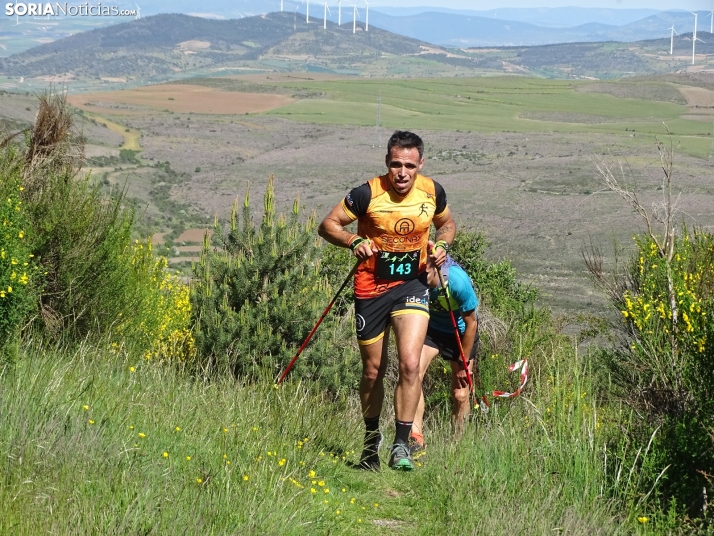 Una imagen de esta mañana en el Moncayo agredeño. /PC