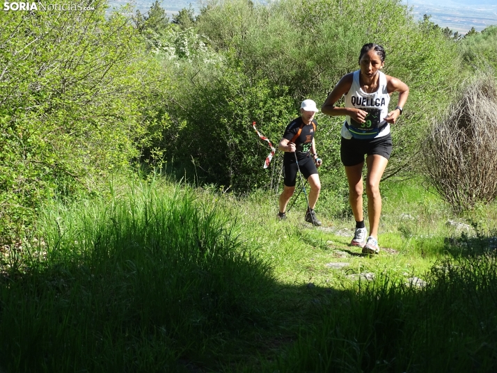 Una imagen de esta mañana en el Moncayo agredeño. /PC