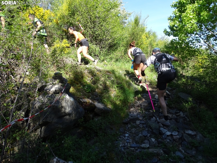 Una imagen de esta mañana en el Moncayo agredeño. /PC