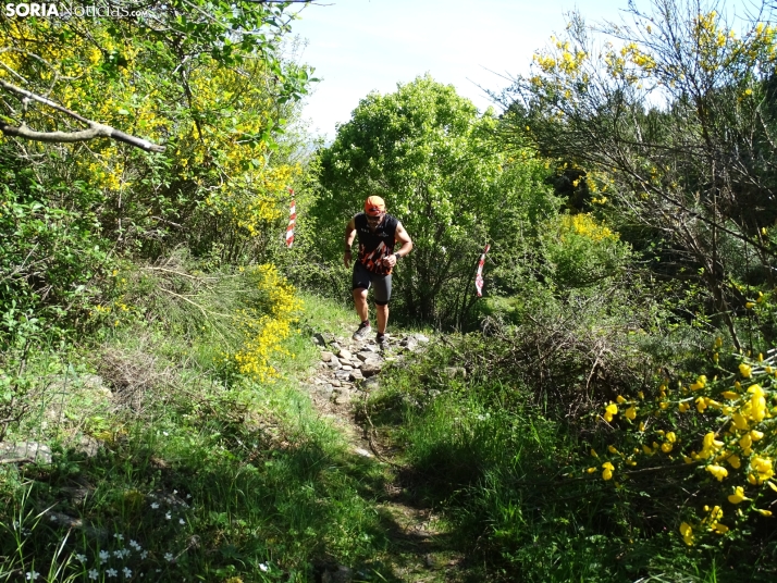 Una imagen de esta mañana en el Moncayo agredeño. /PC
