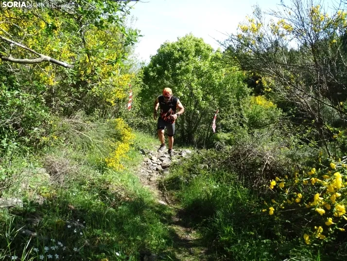 Una imagen de esta mañana en el Moncayo agredeño. /PC