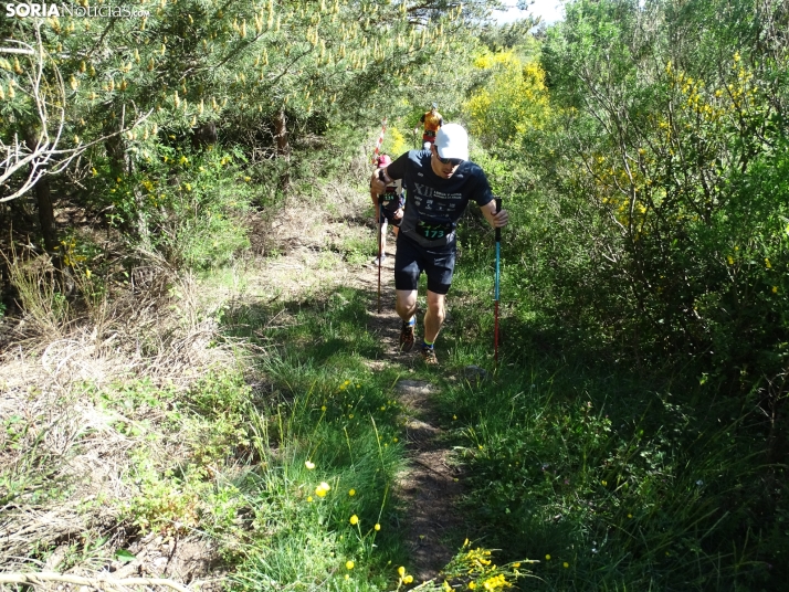 Una imagen de esta mañana en el Moncayo agredeño. /PC