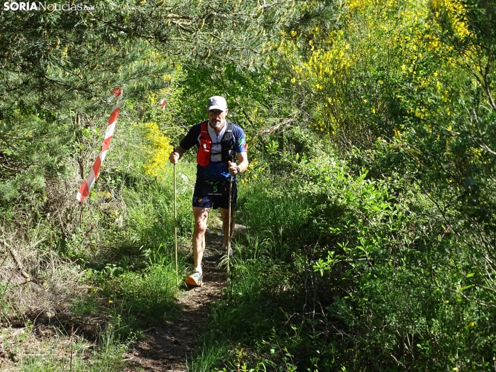 Una imagen de esta mañana en el Moncayo agredeño. /PC