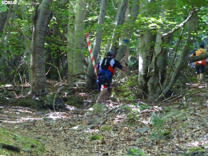 Una imagen de esta mañana en el Moncayo agredeño. /PC