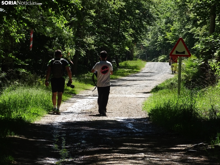 Una imagen de esta mañana en el Moncayo agredeño. /PC