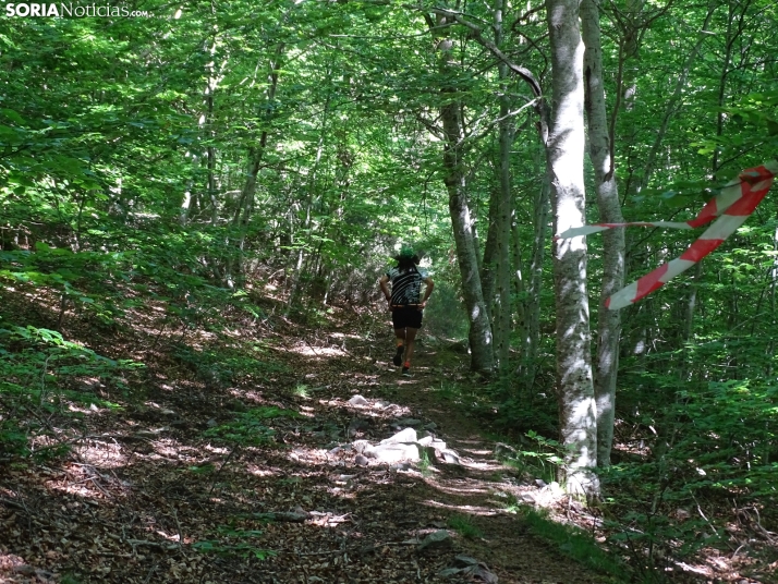 Una imagen de esta mañana en el Moncayo agredeño. /PC