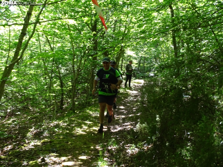 Una imagen de esta mañana en el Moncayo agredeño. /PC