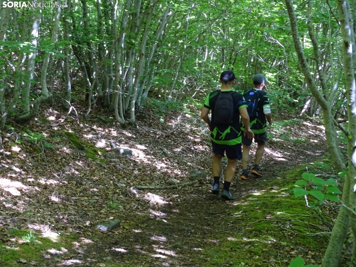 Una imagen de esta mañana en el Moncayo agredeño. /PC