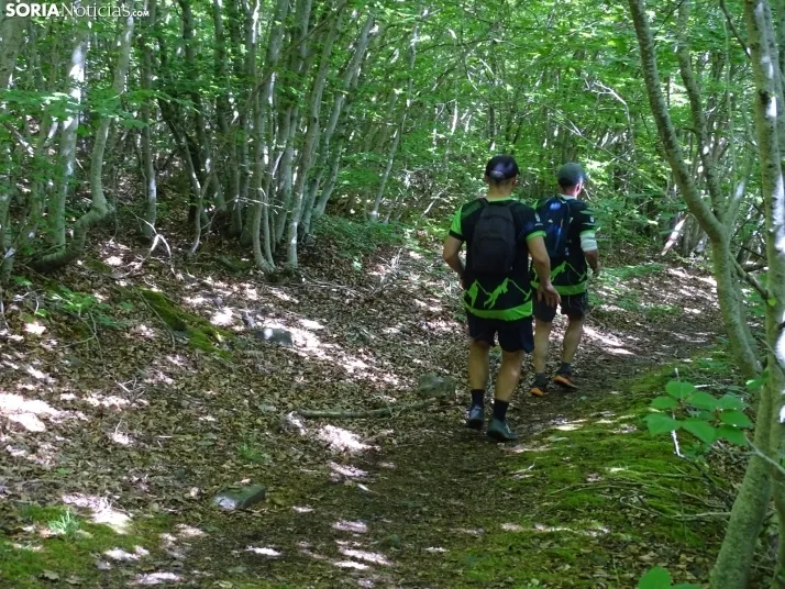 Una imagen de esta mañana en el Moncayo agredeño. /PC