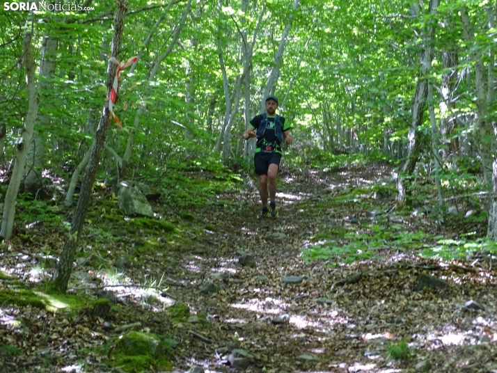 Una imagen de esta mañana en el Moncayo agredeño. /PC