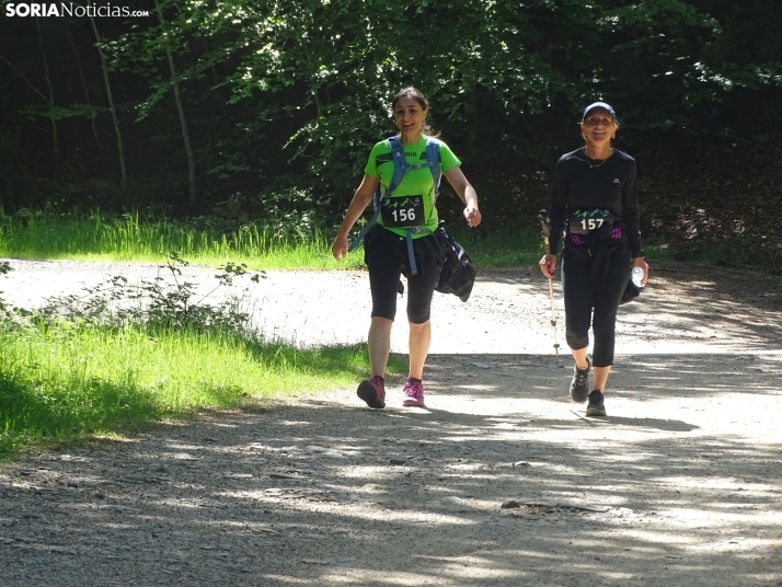 Una imagen de esta mañana en el Moncayo agredeño. /PC