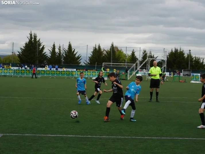 EN FOTOS | &iexcl;Mini cracks en acci&oacute;n! Soria vibra con el f&uacute;tbol base que se juega en la Ciuda