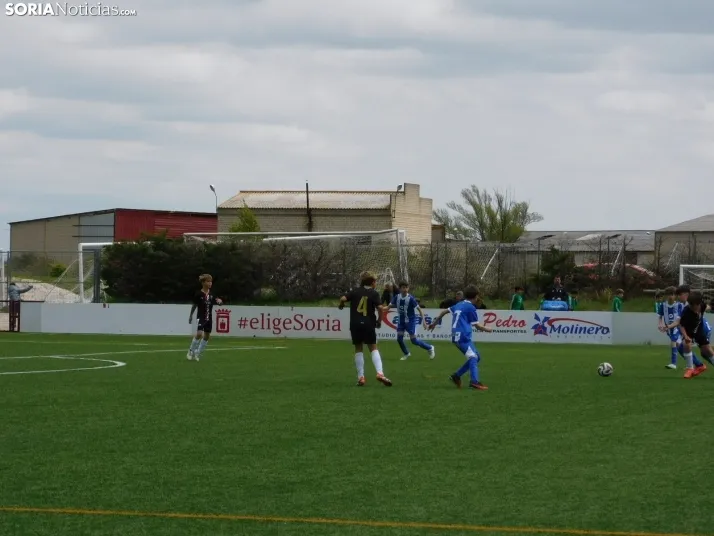 EN FOTOS | &iexcl;Mini cracks en acci&oacute;n! Soria vibra con el f&uacute;tbol base que se juega en la Ciuda