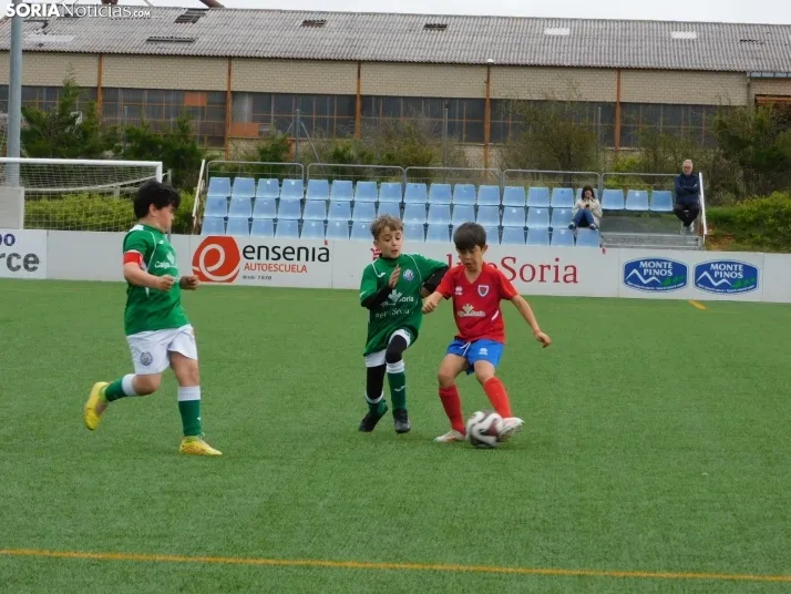 EN FOTOS | &iexcl;Mini cracks en acci&oacute;n! Soria vibra con el f&uacute;tbol base que se juega en la Ciuda