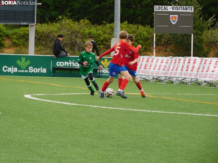 EN FOTOS | &iexcl;Mini cracks en acci&oacute;n! Soria vibra con el f&uacute;tbol base que se juega en la Ciuda