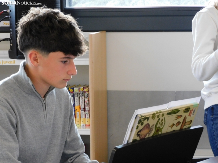 GALER&Iacute;A | Golmayo da la nota en su II Marat&oacute;n Musical con &eacute;xitos de La Bella y la Bestia,