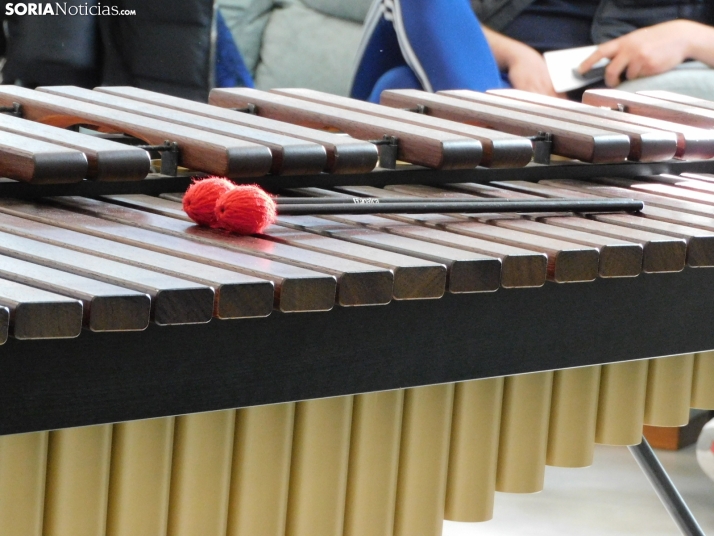 GALER&Iacute;A | Golmayo da la nota en su II Marat&oacute;n Musical con &eacute;xitos de La Bella y la Bestia,