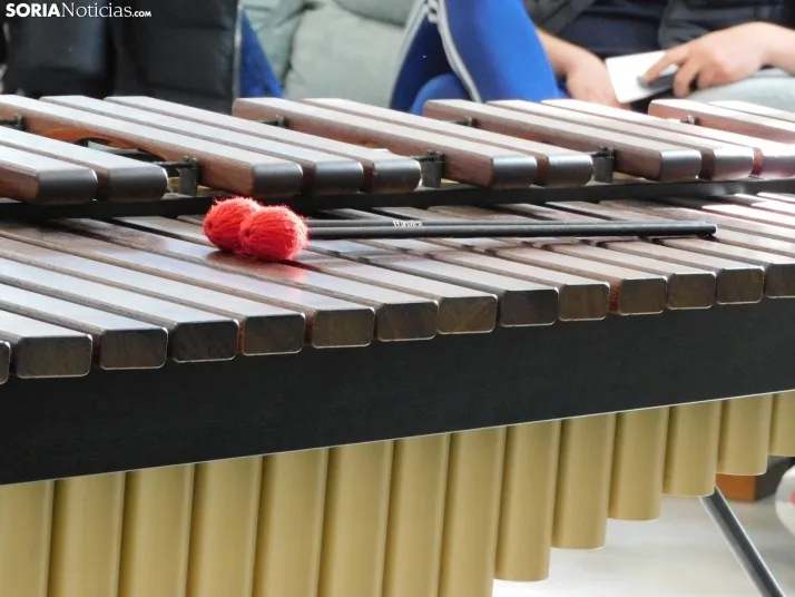 GALER&Iacute;A | Golmayo da la nota en su II Marat&oacute;n Musical con &eacute;xitos de La Bella y la Bestia,