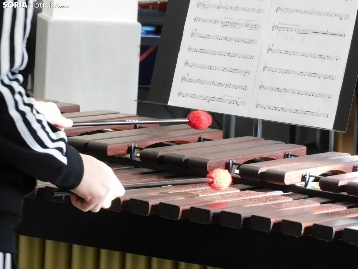GALER&Iacute;A | Golmayo da la nota en su II Marat&oacute;n Musical con &eacute;xitos de La Bella y la Bestia,