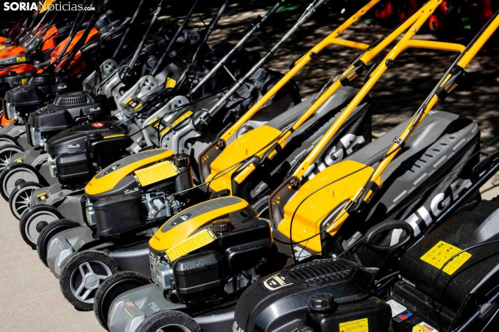 GALER&Iacute;A | Cientos de colores, olores y sabores en la Feria de Muestras de Almaz&aacute;n