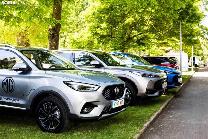 GALER&Iacute;A | Cientos de colores, olores y sabores en la Feria de Muestras de Almaz&aacute;n