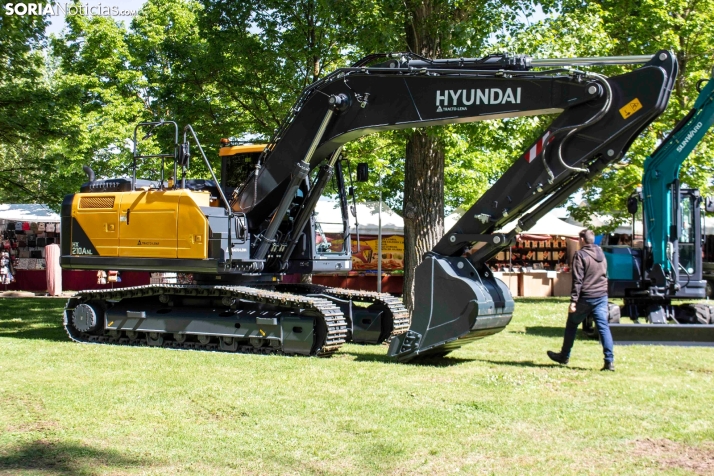 GALER&Iacute;A | Cientos de colores, olores y sabores en la Feria de Muestras de Almaz&aacute;n