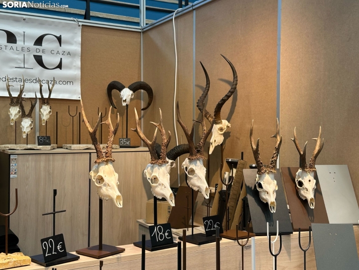 Galer&iacute;a | Almaz&aacute;n da el pistoletazo de salida a la Feria de Caza de Venalmaz&aacute;n