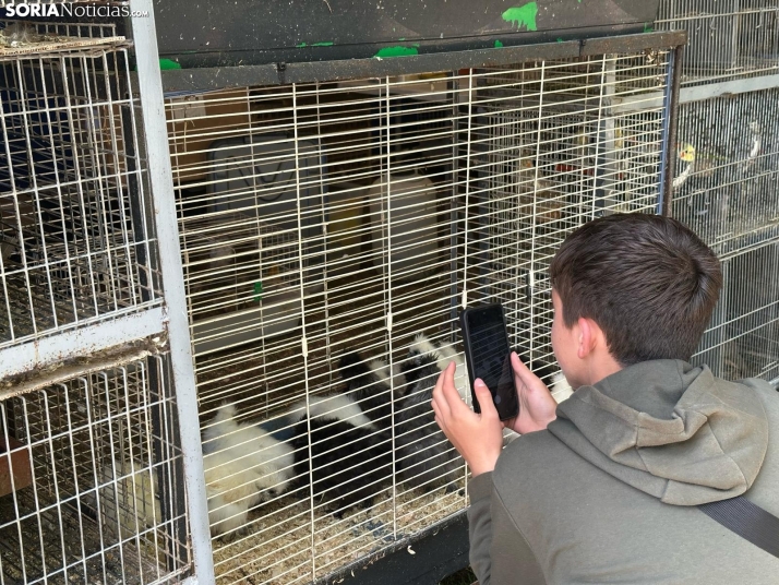 Galer&iacute;a | Almaz&aacute;n da el pistoletazo de salida a la Feria de Caza de Venalmaz&aacute;n