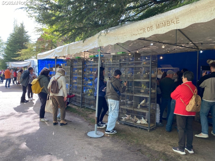 Galer&iacute;a | Almaz&aacute;n da el pistoletazo de salida a la Feria de Caza de Venalmaz&aacute;n