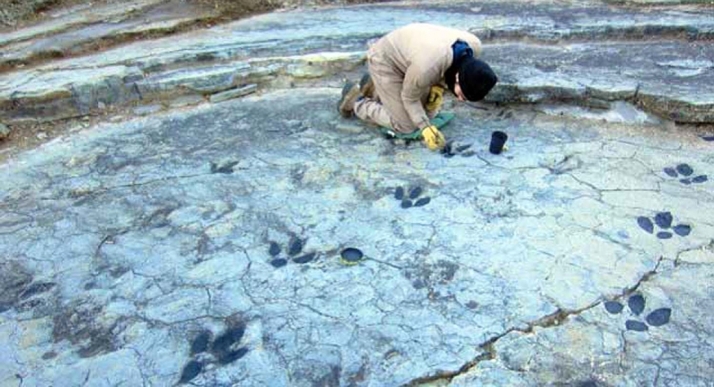 Adjudicados los trabajos de mantenimiento de los yacimientos de Tiermes y de Uxama, de la Ruta de las Icnitas y de cinco zonas arqueológicas visitables de la provincia 